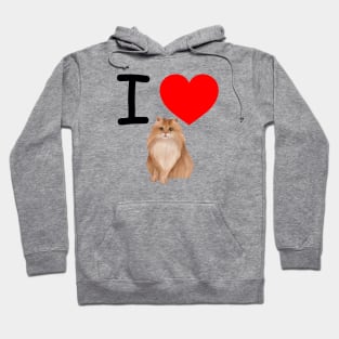 I Heart Persian Cats Hoodie